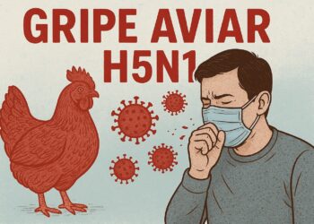Síntomas a vigilar tras contacto con animales: fiebre, tos, diarrea, dificultad respiratoria, alteraciones neurológicas.