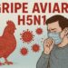 Síntomas a vigilar tras contacto con animales: fiebre, tos, diarrea, dificultad respiratoria, alteraciones neurológicas.