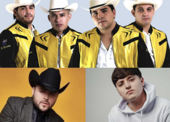 El artículo 208 del Código Penal Federal establece pena para quien incite a cometer un delito o haga apología de él.