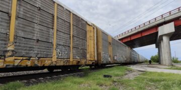 Hombre murió arrollado por el tren.
