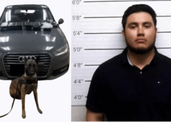 Rubén Laredo Plancarte llevaba droga escondida en un compartimiento secreto de un Audi.