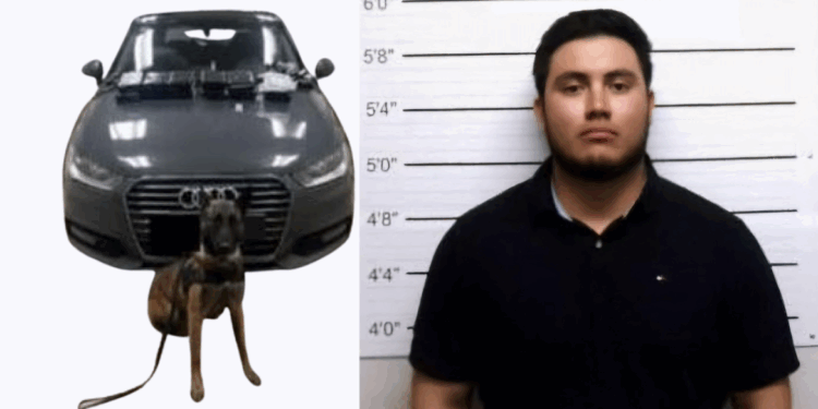 Rubén Laredo Plancarte llevaba droga escondida en un compartimiento secreto de un Audi.