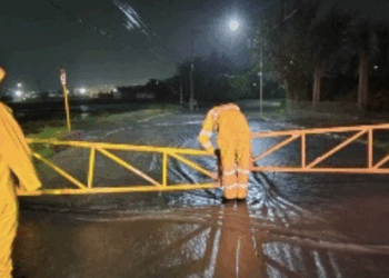 Atiende Protección Civil caída de árboles y autos varados tras tormenta en Piedras Negras.