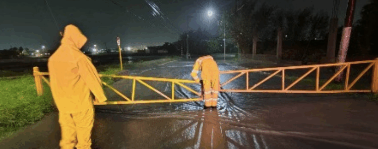 Atiende Protección Civil caída de árboles y autos varados tras tormenta en Piedras Negras.