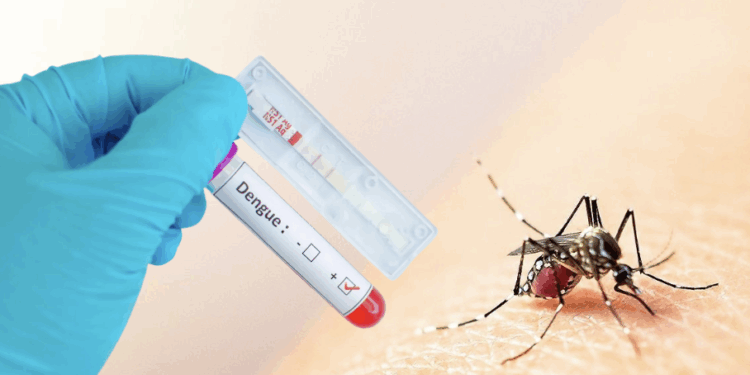 Dengue avanza en Coahuila: detectan tres casos en Piedras Negras.