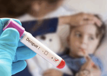 Jurisdicción Sanitaria intensifica vigilancia por nuevos casos de dengue.