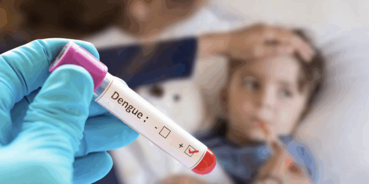 Jurisdicción Sanitaria intensifica vigilancia por nuevos casos de dengue.