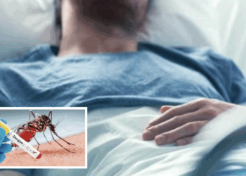 Reprograman fumigaciones por lluvias; aplican cerco sanitario ante caso sospechoso de dengue.