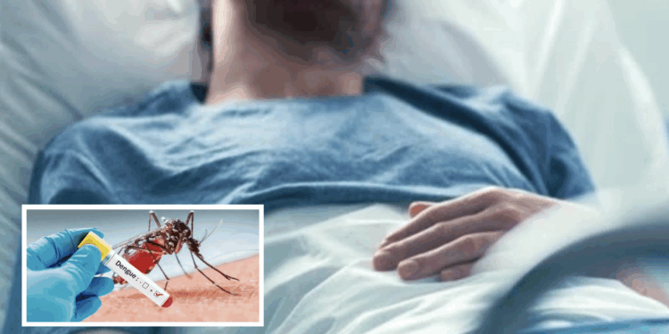 Reprograman fumigaciones por lluvias; aplican cerco sanitario ante caso sospechoso de dengue.