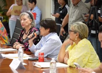 La regidora Zahara Elia Kanagúsico rechazó la propuesta del alcalde de movilizar a padres y estudiantes para presionar al Gobierno del Estado.