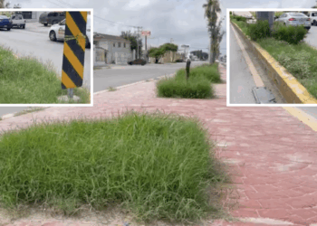 Falta de mantenimiento en camellones evidencia descuido urbano en Piedras Negras.