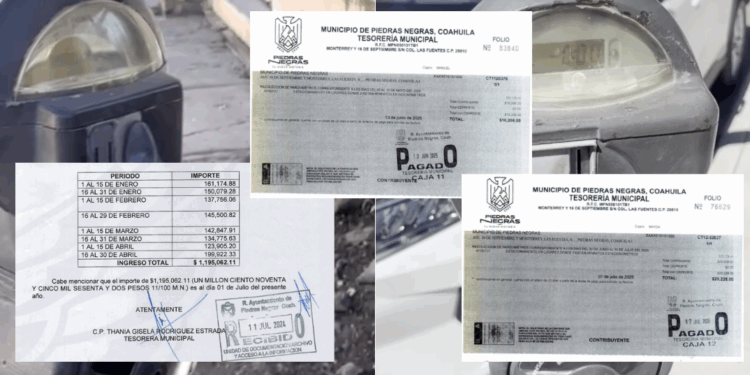 Parquímetros dejan menos dinero sin concesionaria.