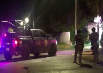 Localizan planta de marihuana en cateo en Piedras Negras.