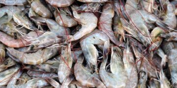 Walmart confirmó su venta en 13 estados bajo la marca Great Value.