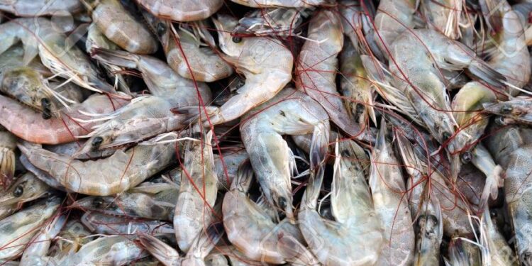 Walmart confirmó su venta en 13 estados bajo la marca Great Value.