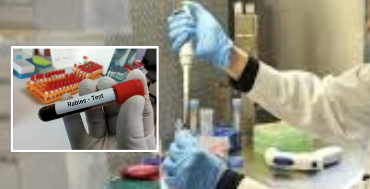 Autoridades de Del Río emiten alerta por rabia y dan recomendaciones.