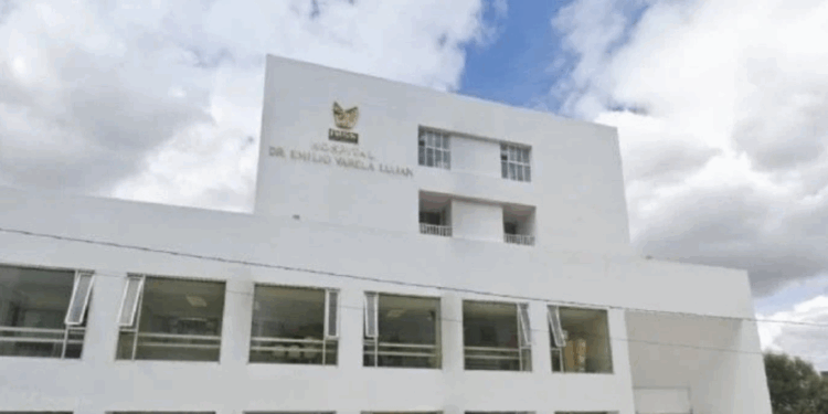 Confirman en Zacatecas primer caso de rabia humana en 38 años.