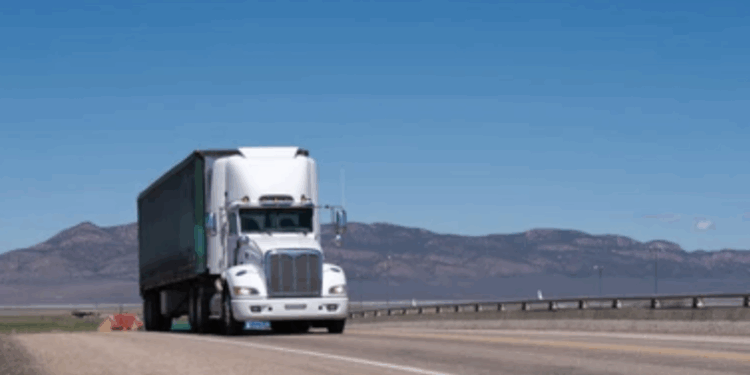 Más de 55 millones de permisos vigentes están sujetos a monitoreo y posible revocación.