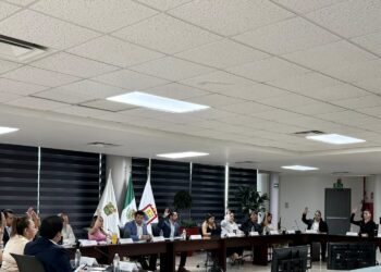 El Cabildo dio luz verde al proceso de sustitución tras la renuncia de Eduardo Terrazas.
