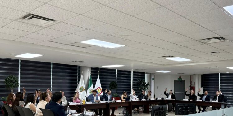 El Cabildo dio luz verde al proceso de sustitución tras la renuncia de Eduardo Terrazas.