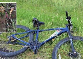 El hombre fue localizado cubierto de tierra entre la maleza.