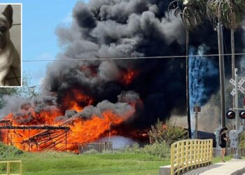 Autoridades investigan las causas del incendio.