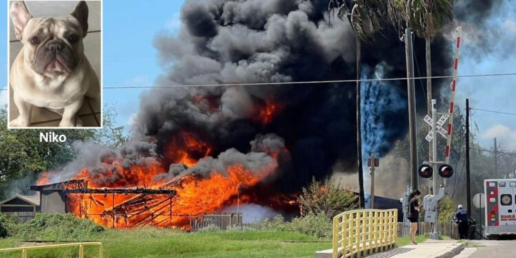 Autoridades investigan las causas del incendio.