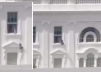 Trump dice que video viral es falso, experto lo contradice.