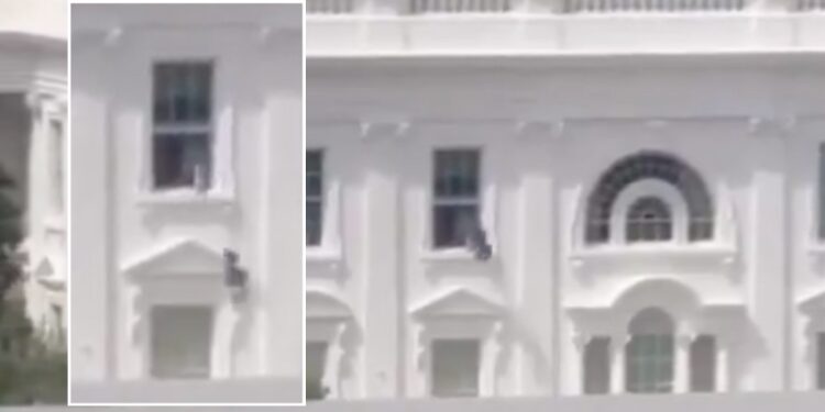 Trump dice que video viral es falso, experto lo contradice.