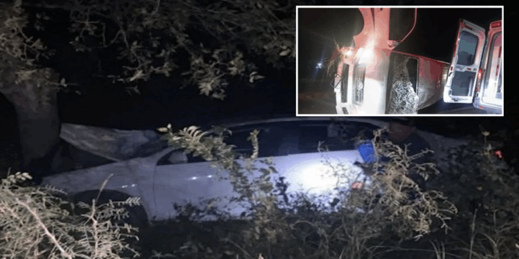 Los percances se registraron en la Carretera 57, y en la Federal 2.