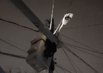 Ponen en pausa el cobro del DAP en Piedras Negras.