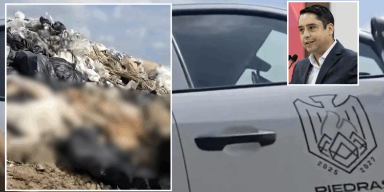 Ayuntamiento dice desconocer oficialmente denuncias por tiradero de perros.