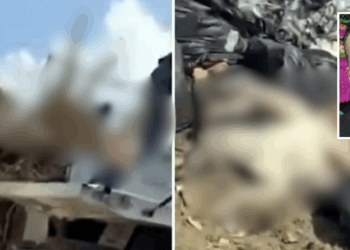 Más de un millón de pesos deberá pagar el municipio por el caso del tiradero de perros, confirmó el diputado Jorge Arturo Valdés Flores.