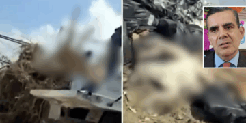 Más de un millón de pesos deberá pagar el municipio por el caso del tiradero de perros, confirmó el diputado Jorge Arturo Valdés Flores.