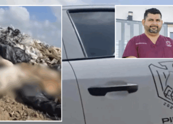 Ayuntamiento sanciona al personal implicado en el caso del tiradero de perros; niega multa y acusa desinformación.