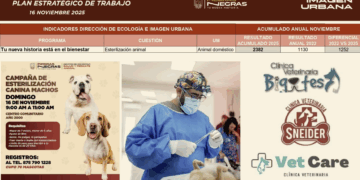 Municipio publicita clínica privada y funcionario asegura no beneficiarse.