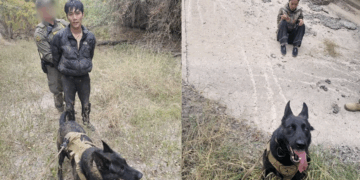 Perro “Shark” localiza a grupo de indocumentados en operativo cerca de Eagle Pass.