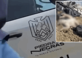 Llega multa que el municipio negaba: 1.1 mdp que complican el cierre de año.