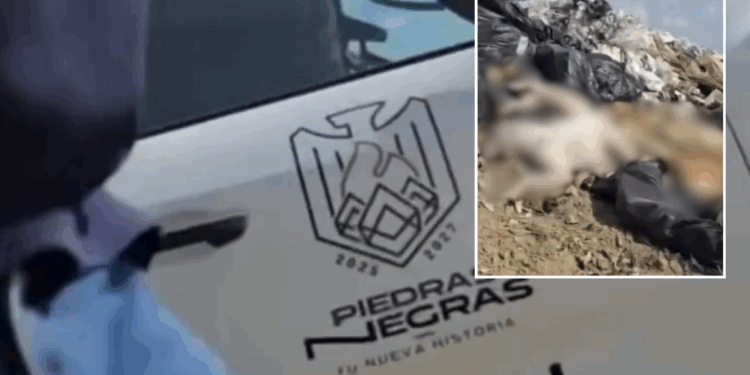 Llega multa que el municipio negaba: 1.1 mdp que complican el cierre de año.