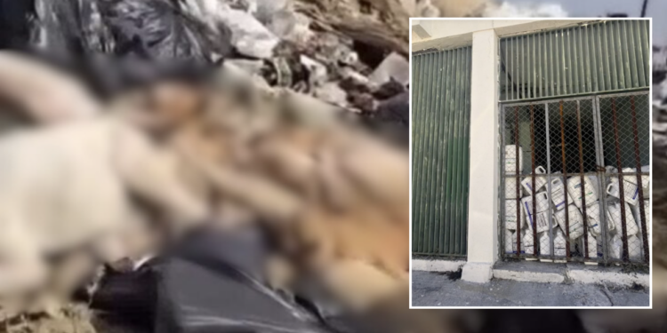 Aclaración de Jurisdicción no frena embate del alcalde, que exige intervención de Propaec.