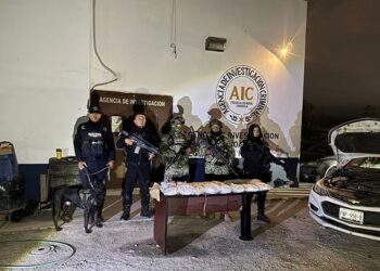 Localizan cargamento de droga durante revisión vehicular en Nava.