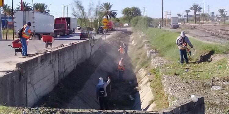 Labores de mantenimiento urbano realizadas durante programas de empleo temporal en la administración de Fernando Purón.