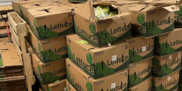 El cargamento agrícola fue inspeccionado por autoridades federales.