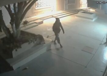 Recuperan cámaras robadas de plantel.