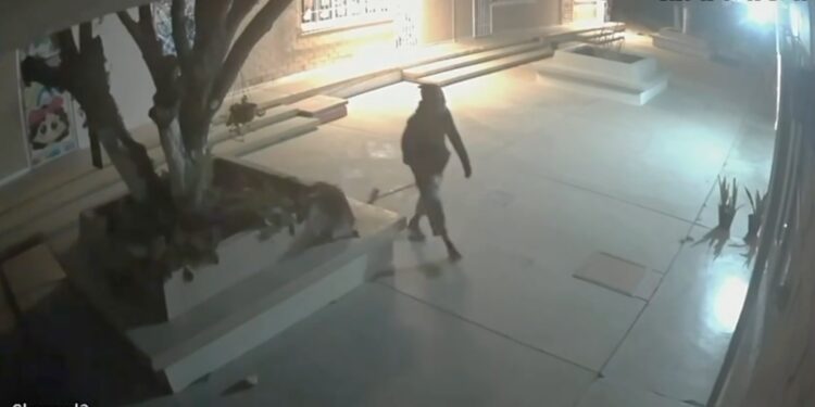 Recuperan cámaras robadas de plantel.