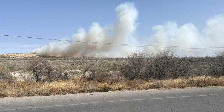 Columna de humo visible desde distintos puntos de la ciudad.