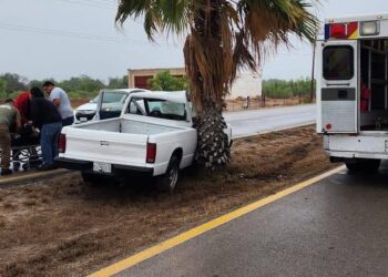 El automóvil salió del camino y terminó contra una palma.
