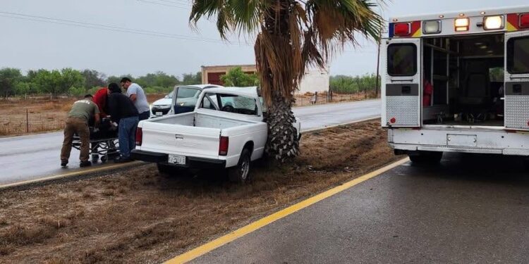 El automóvil salió del camino y terminó contra una palma.