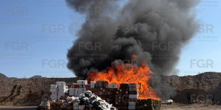 Autoridades federales incineraron más de una tonelada de narcóticos asegurados en Coahuila.