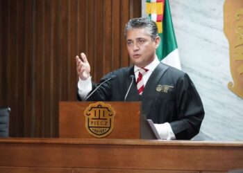 Miguel Felipe Mery Ayup informó la postura del Pleno sobre la violencia vicaria.